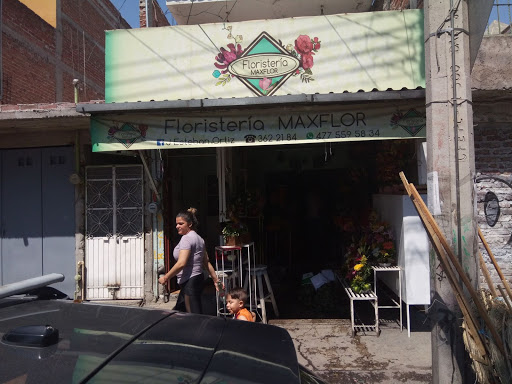 Floristería Maxflor