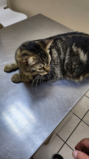 Rathburn Animal Clinic - Thumbnail