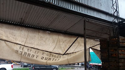 Photos of Mercado Central