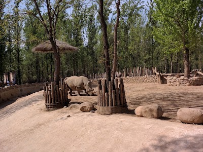 zoo