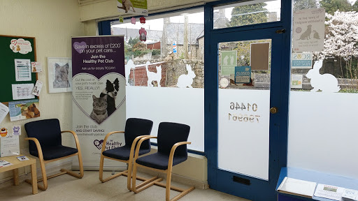 Barry Veterinary Centre - Boverton - Thumbnail