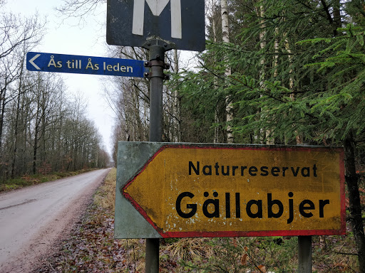 Jällabjär - Visual
