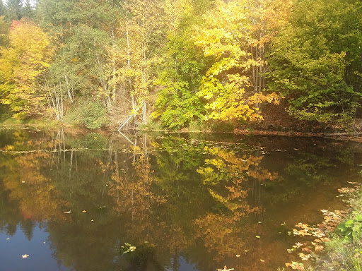 Helltalsteich - Visual