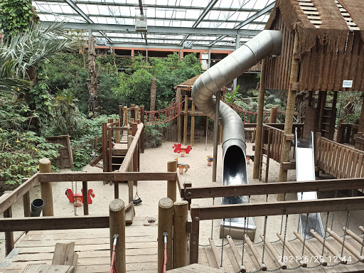 Zoo Veldhoven - Thumbnail