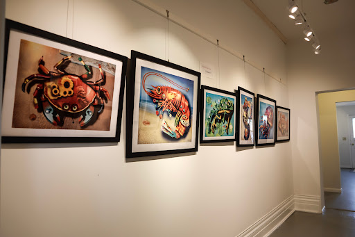 Country Lawyer Gallery of the Arts Gallery - United States