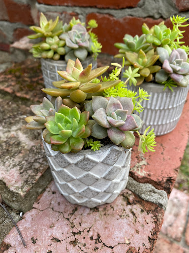 Leafstyle - Visual