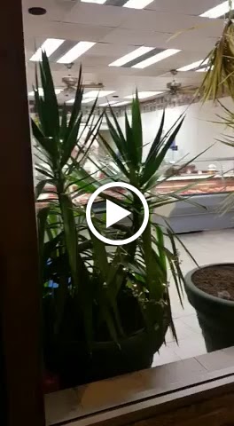 Shehzad Meat Market photo 2