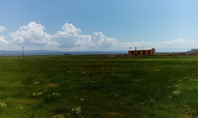 Photos of T&Uuml;VT&Uuml;RK Vehicle Inspection Station - Mus