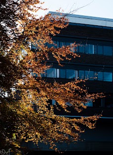 Devonshire Building newcastle