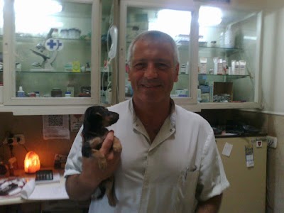 Photos of Veterinary care center Flores