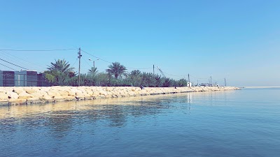 Photos of قهوة البديع