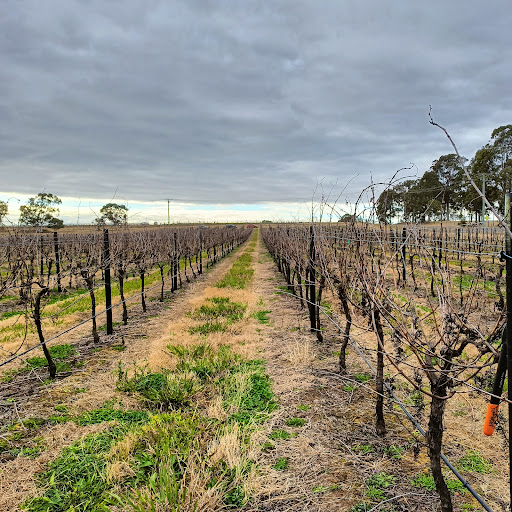 Rothvale Vineyard & Winery Gallery - Australia