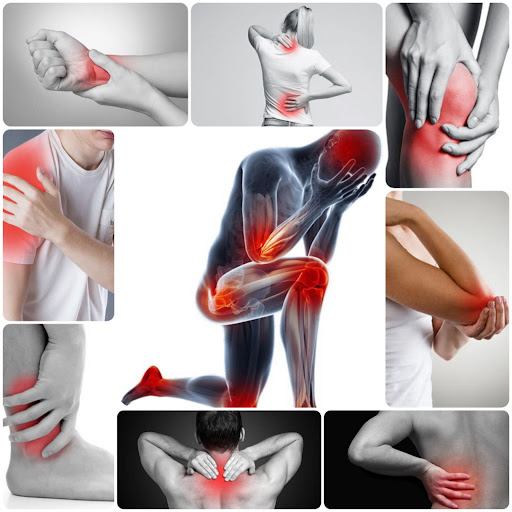 BODY ACTIVE THERAPY Release Re-Activate Recover - Thumbnail