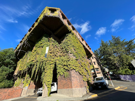 Loew Hall - Visual