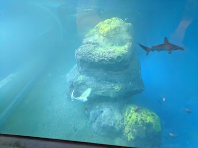 Pacific Seas Aquarium