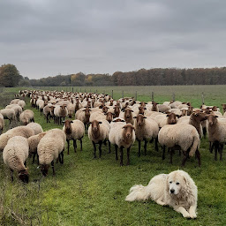 Photo n°13 de FERME DU POIRIER à Isdes (Magasin d'alimentation bio)