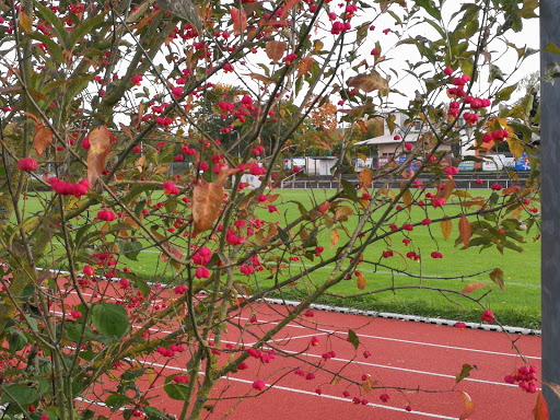 Heuchelbergstadion - Thumbnail