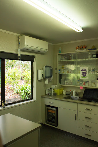Barkes Corner Veterinary Hospital Tauranga - Thumbnail