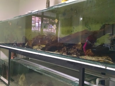 Photos of Veterinary Specialty Center