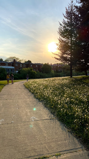 Joseph Aron Park - Thumbnail