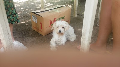 Photos of Naguan Tica