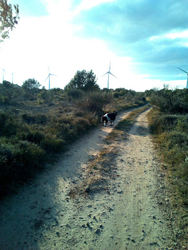 Le Chemin des Écoliers (Liaison Lézignan-Corbières/Escales) - Thumbnail