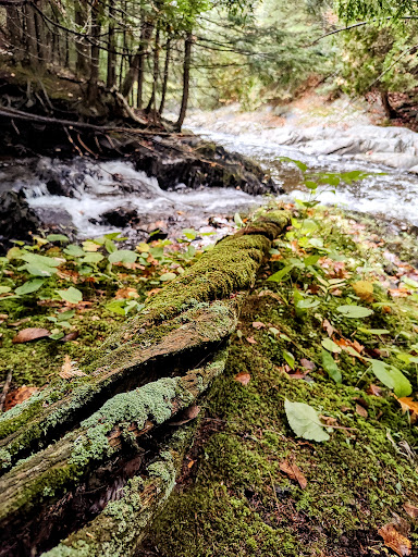 Gomanche Falls - Thumbnail