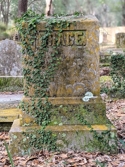 Micanopy Historic Cemetary