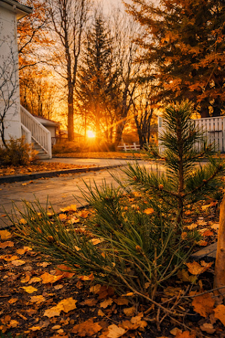 Selfoss Hostel by null