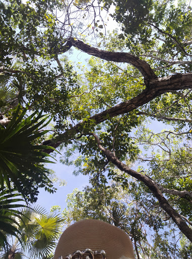 Cenote Escondido (Mayan Blue) - Thumbnail
