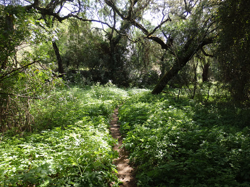 Sendero de Guadalora - Thumbnail
