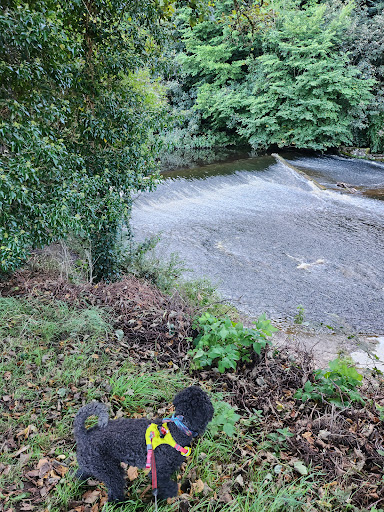 Jed Water River Path - Thumbnail