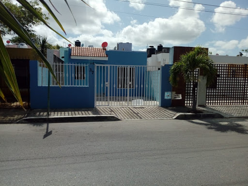 CLINICA ANIMAL 24 HRS / VETERINARIA - All You Need Is Love And A Dog