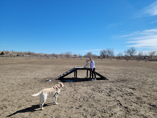 Reliance Park - Thumbnail