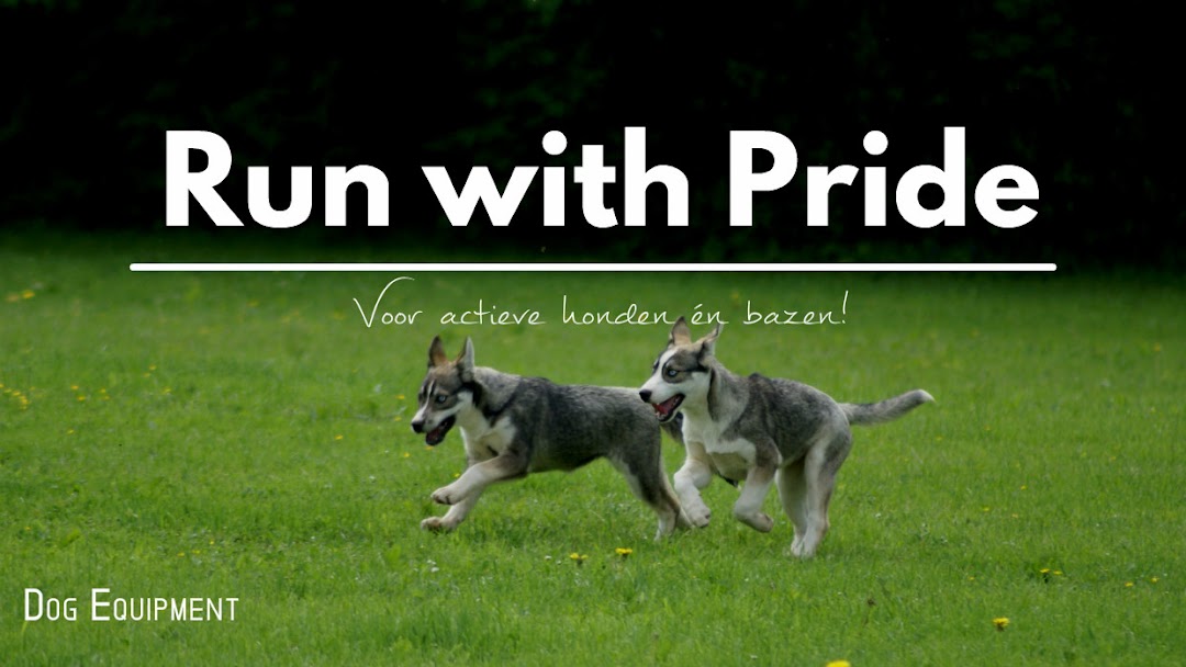 Run with Pride - winkel - Online dierenwinkel in Nijverdal