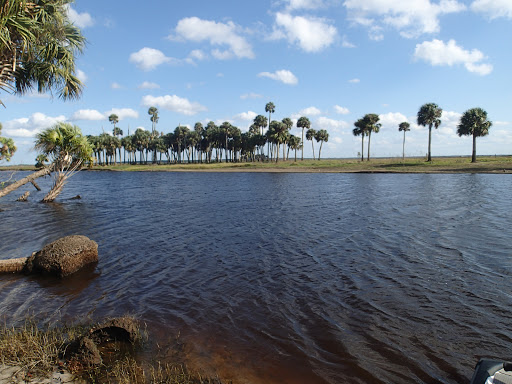 Little Big Econlockhatchee Wildlife Management Area - Kilbee Unit - Thumbnail