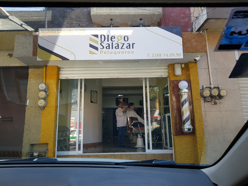 Diego Salazar - Thumbnail