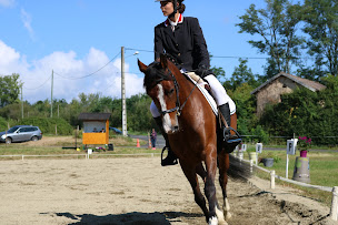 Photo n°20 de Ferme Équestre & Pédagogique de Chantaigut à Ceilloux (Centre équestre)
