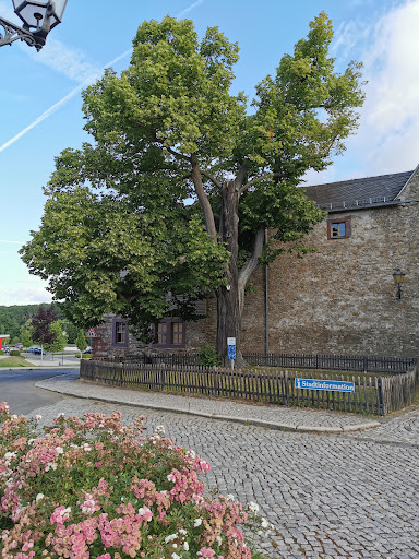 Stadt- und Selketalinformation Harzgerode - Thumbnail