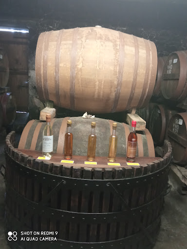 Domaine “ Le Péto ” - Thumbnail