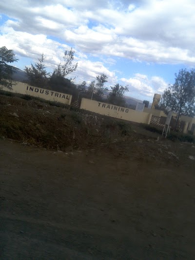 university