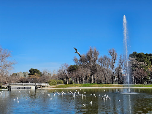 Parque Enrique Tierno Galván - Thumbnail