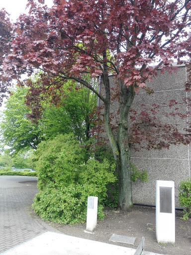 City Maria Montessori School Meerbusch - Thumbnail