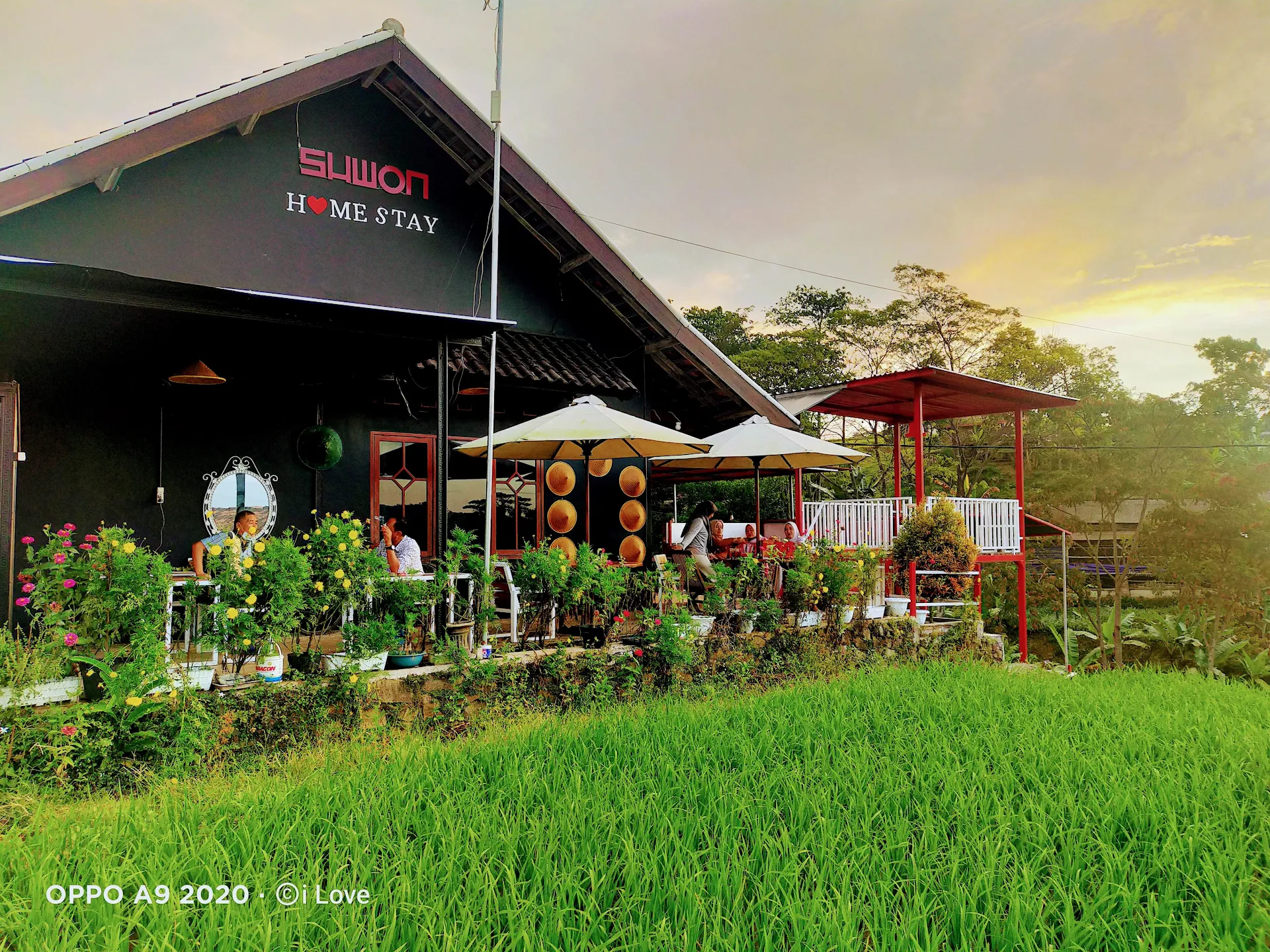 Suwon homestay