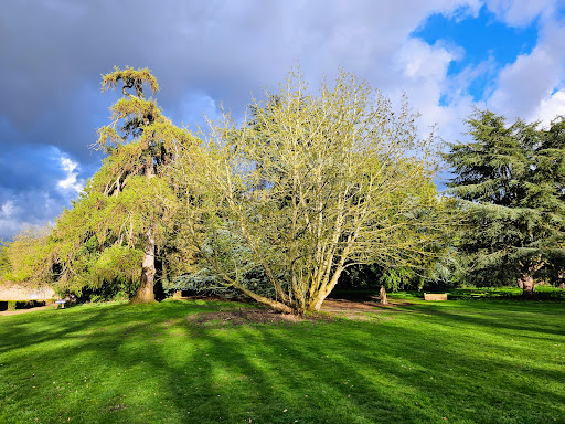 Earlham Park - Visual