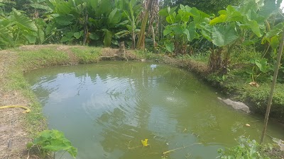 Photos of Centro Recreacional El Triunfo