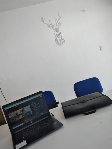 Consultorio Financiera - Thumbnail