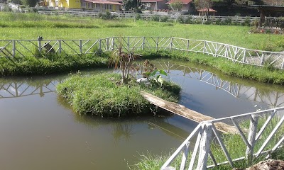 Photos of Hotel Jayaque