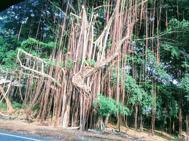 Kahaluu Beach Park