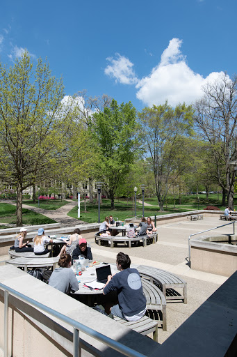 Andrews Library - Visual